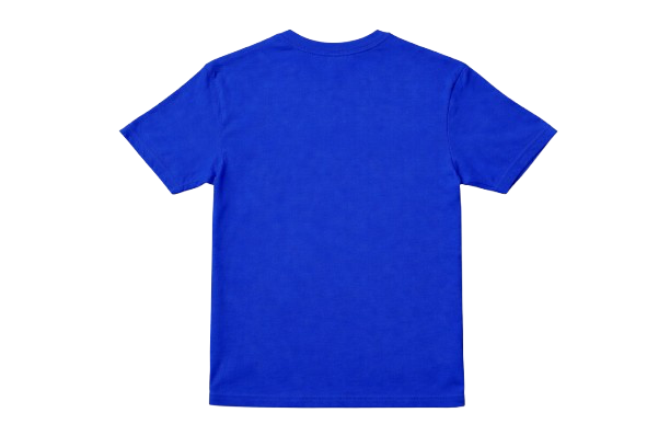 AMG Society royal blue tee back view